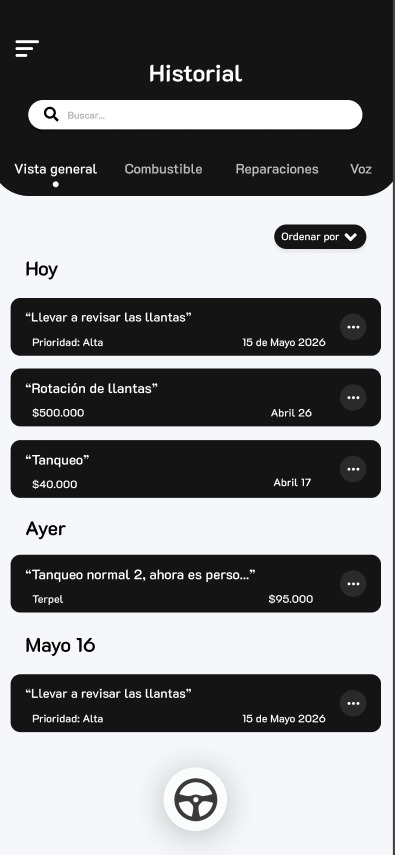 Historial de registros de DriveDen